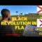 A HIDDEN HISTORY OF FLORIDA’S MAROON WARS: America’s Successful Slave Revolt