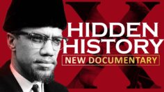 Hidden History of Malcolm X (Malcolm X Documentary)