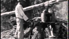 Jamaica in the 1930s