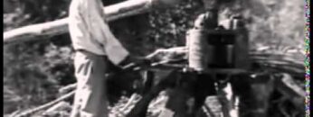 Jamaica in the 1930s