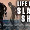 Life Aboard a Slave Ship | History