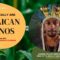 Meet The TAINO CHIEF!!! Kasike Kalaan Nibonrix Kaiman | LEARN ABOUT TAINOS | TAINO PEOPLE IN JAMAICA