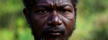 Black Diaspora the Dravidians/Dalits of India