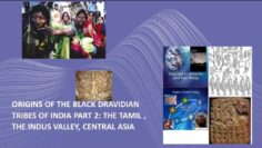Dr. Clyde Winters on Origins of the Black Dravidian Tribes of India Part 2