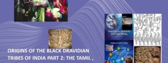 Dr. Clyde Winters on Origins of the Black Dravidian Tribes of India Part 2