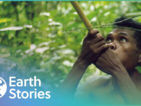 How Indigenous Tribes Live In Malaysia | Man Hunt | Earth Stories