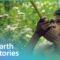 How Indigenous Tribes Live In Malaysia | Man Hunt | Earth Stories