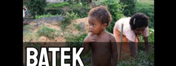 Indigenous Peoples Tribes Documentary | Batek, Malaysia Full Documentary (English Subtitles)