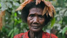 Orang Asli Bateq – The Aboriginal Tribe of Penisular Malaysia