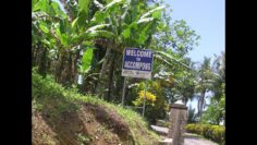 The Jamaican Maroons