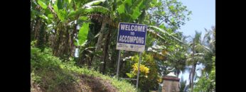 The Jamaican Maroons