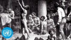 Transatlantic Slave Trade Reparations: UN Interview with Leading Historian | United Nations